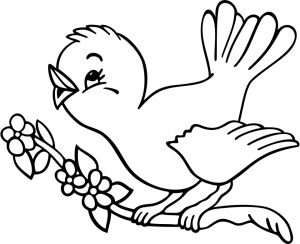 Bird Coloring Pages Free Printable   15482