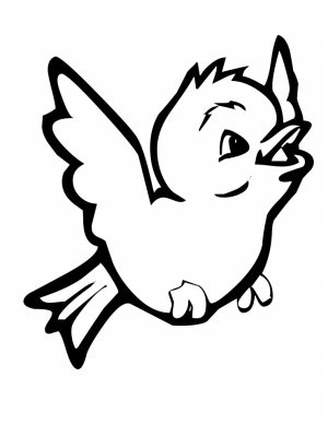 Bird Coloring Pages Free Printable   26573