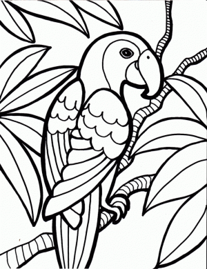 Bird Coloring Pages Free Printable   37561