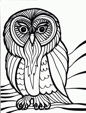 Bird Coloring Pages Free Printable   48671