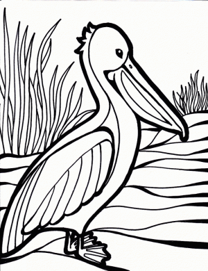 Bird Coloring Pages Free Printable   59783