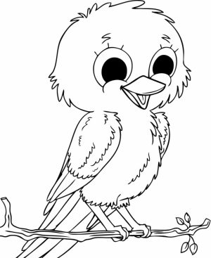 Bird Coloring Pages Free Printable   60915