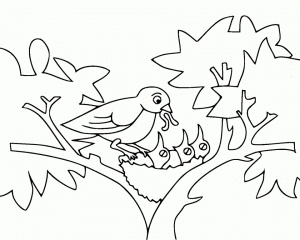 Bird Coloring Pages Free to Print   465719