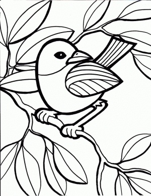 Bird Coloring Pages Free to Print   57810