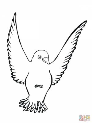 Bird Coloring Pages Free to Print   80672