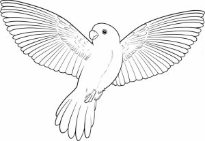 Bird Coloring Pages Kids Printable   06741