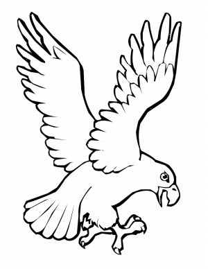 Bird Coloring Pages Kids Printable   96746