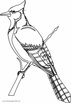 Bird Coloring Pages to Print for Kids   25163
