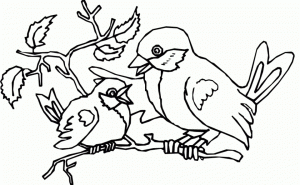 Bird Coloring Pages to Print for Kids   95713