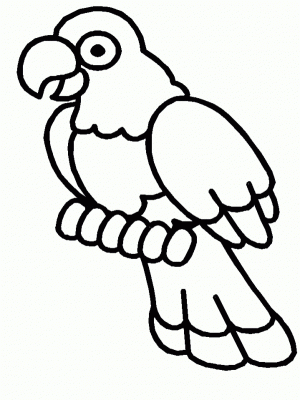 Bird Coloring Pages to Print Online   41663