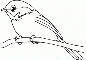 Bird Coloring Pages to Print Online   56229