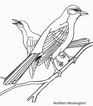 Bird Coloring Pages to Print Online   65337