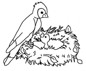 Bird Coloring Pages to Print Online   67118