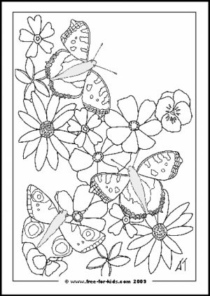 Blank Coloring Pages for Toddlers   MHTS9