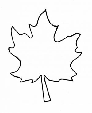 Blank Leaf Coloring Pages for Kids   utq93