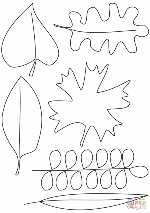 Blank Leaf Coloring Pages for Kids   ycv31