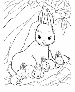 Bunny Coloring Pages Free   31772