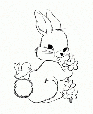 Bunny Coloring Pages Free Printable   8451