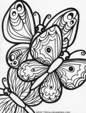 Butterfly Coloring Pages Adults Printable   7fht0
