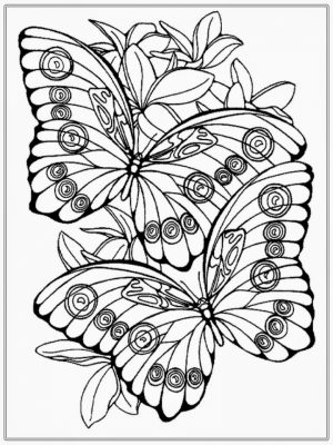 Butterfly Coloring Pages Adults Printable   8fge1