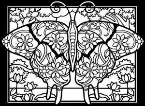 Butterfly Coloring Pages for Adults Free   1at40