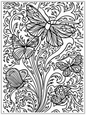 Butterfly Coloring Pages for Adults Free   2atr8