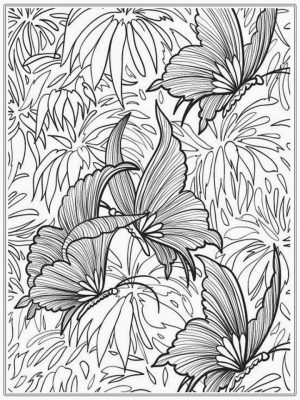 Butterfly Coloring Pages for Adults Free   3dtg5