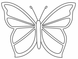 Butterfly Coloring Pages for Preschoolers   8gh51