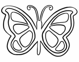Butterfly Coloring Pages for Preschoolers   hg516