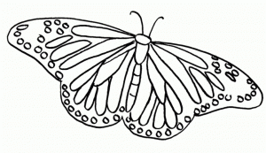 Butterfly Coloring Pages Free   43fs8