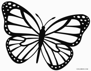 Butterfly Coloring Pages Free   5df31