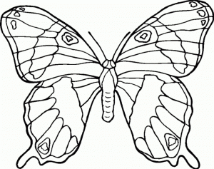 Butterfly Coloring Pages Printable   51age