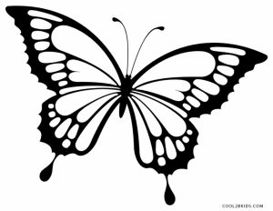 Butterfly Coloring Pages Printable   71950