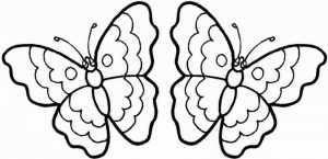 Butterfly Coloring Pages Printable   idh81
