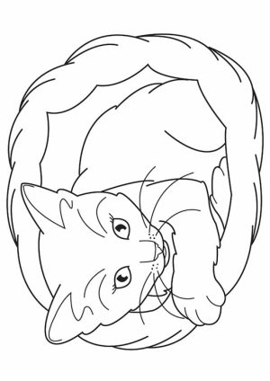 Cat and Kitten Coloring Pages Free to Print   67491