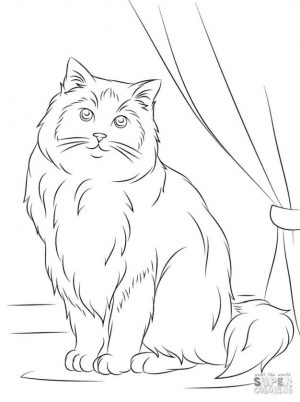 cat coloring pages dter4