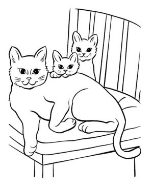 cat coloring pages free gy3d7