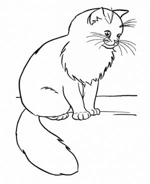 cat coloring pages free h4bc1