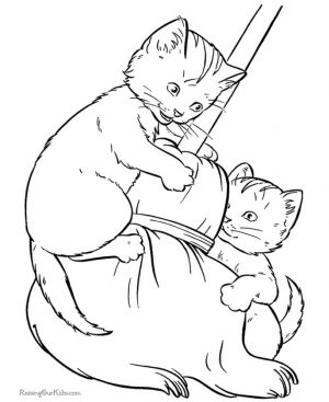 cat coloring pages free to print vn60c