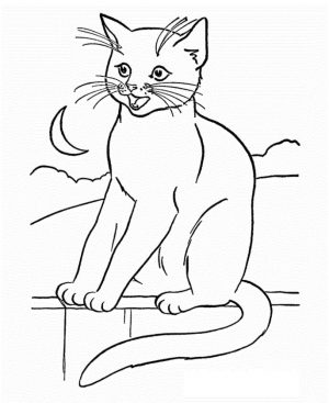 cat coloring pages free vfyw0