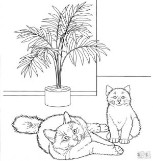 cat coloring pages hgi50