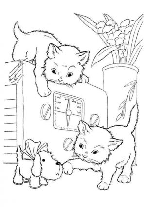 cat coloring pages to print 8dg50