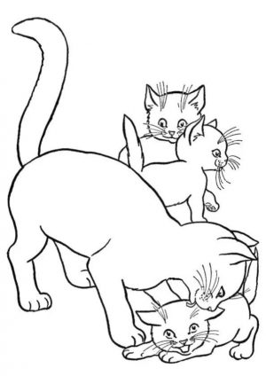 cat coloring pages to print bgjo9