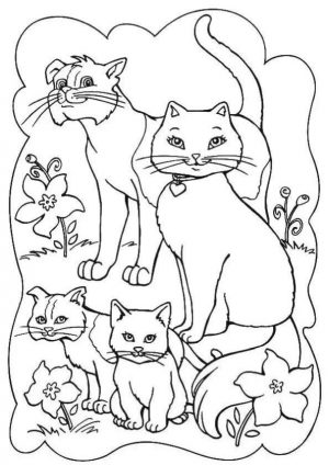 cat coloring pages to print bvh50