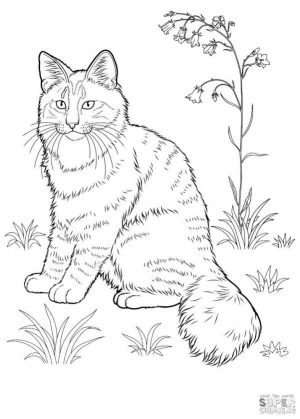 cat coloring pages yfgr1