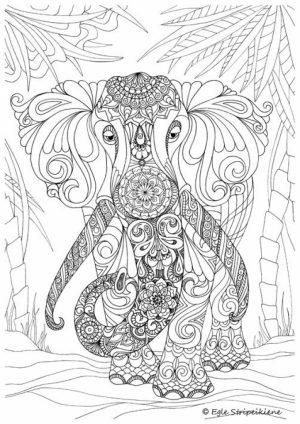 Challenging Coloring Pages of Elephant for Adults   8895f5