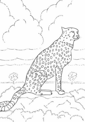 Cheetah Coloring Pages to Print   atw85