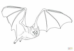 Coloring pages of a bat for kids   10561