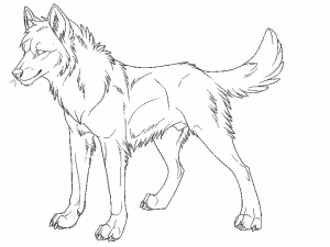Coloring Pages of a Wolf   67521
