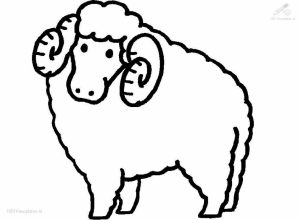Coloring pages of sheep   hdn3k